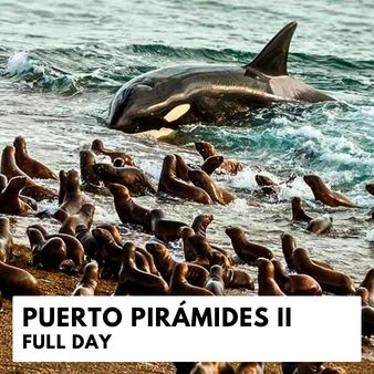 Península Valdés ll