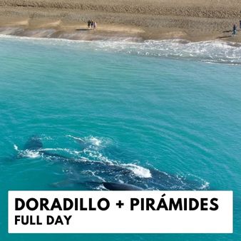 Doradillo and Piramides