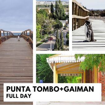 Punta Tombo and Gaiman