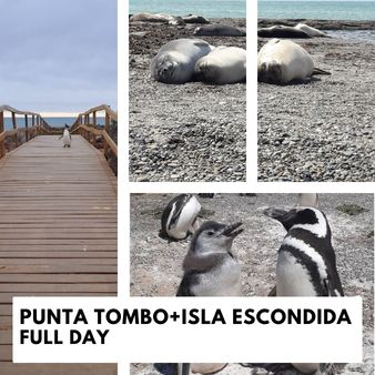 Punta Tombo and Isla Escondida