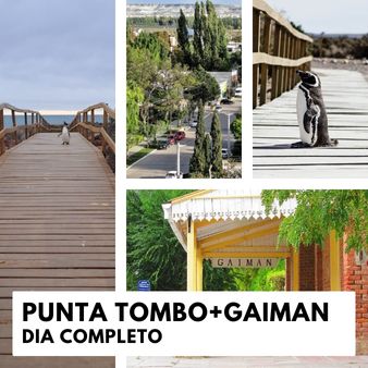 Punta Tombo y Gaiman