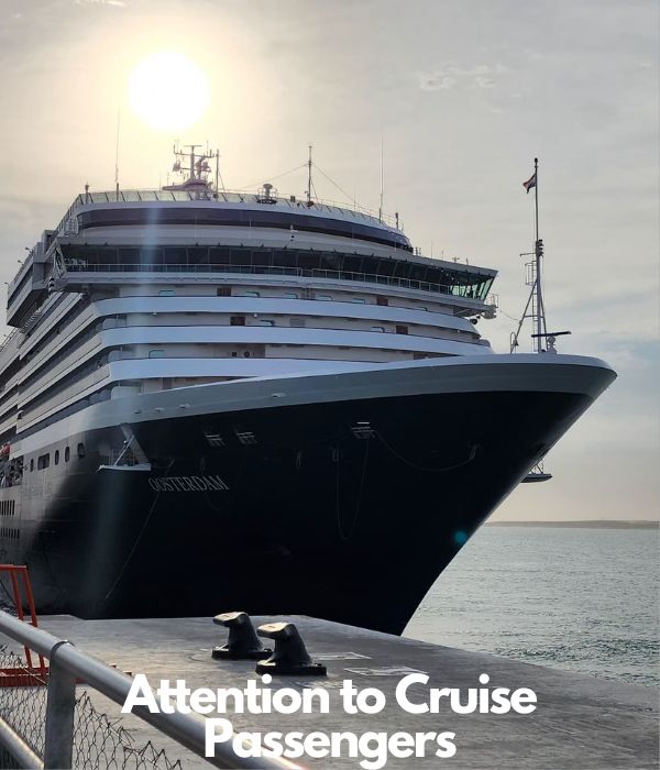 Cruises 2 voz del mar cruise m1